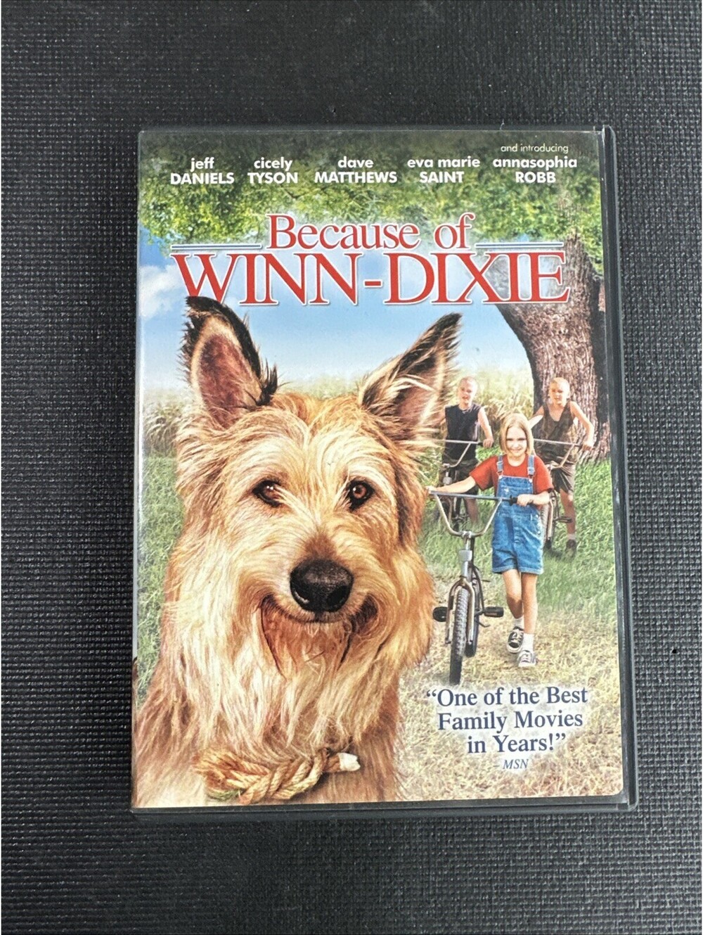 Because of Winn-Dixie (DVD, 2005)